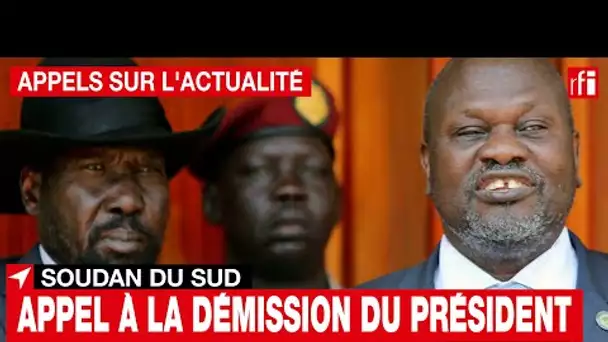 Soudan du Sud : un appel à la démission du président et de son vice-président • RFI