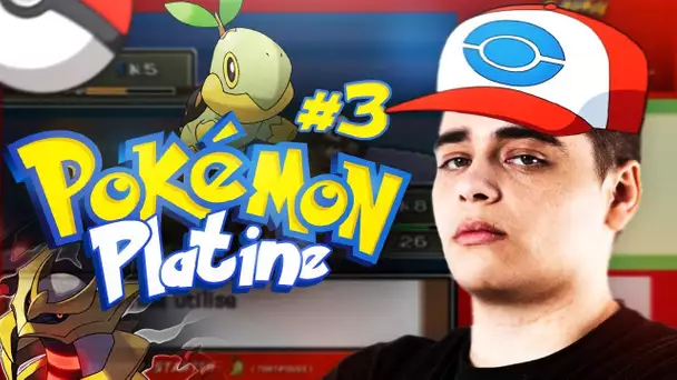 OBJECTIF: CAPTURER UN MAXIMUM DE POKEMONS #3