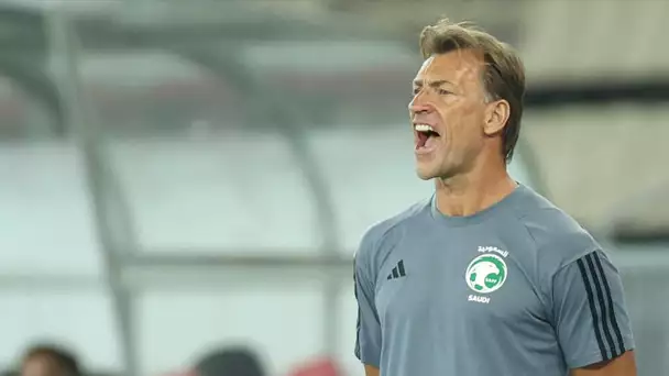 Hervé Renard nommé sélectionneur de l'équipe de France féminine