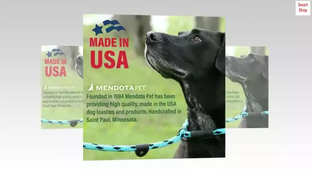 Mendota Pet Slip Leash - Dog Lead and Collar Combo - Made in The USA - Pink Camo, 1/2 in x 6 ft