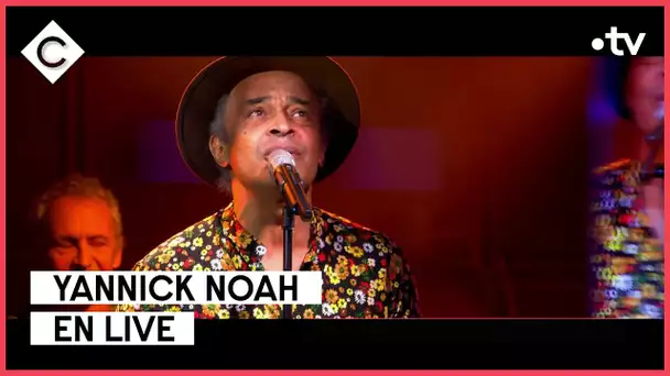 Yannick Noah en live sur la scène de C à vous - 01/12/2022