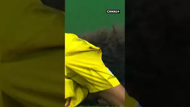 Carvajal 👨‍🎨