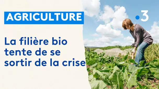 Les agriculteurs bio tentent de se sortir de la crise