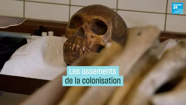 Les ossements de la colonisation • FRANCE 24