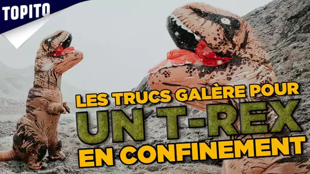 LES GALÈRES D'UN T-REX CONFINÉ