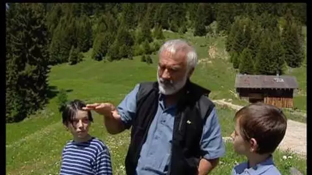 Grandeur Nature - Biodiversité des prairies (Documentaire)