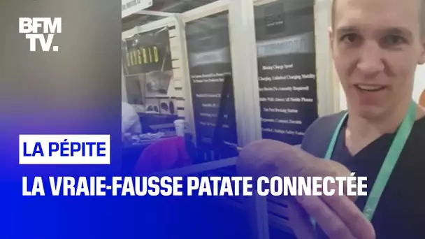 La vraie-fausse patate connectée