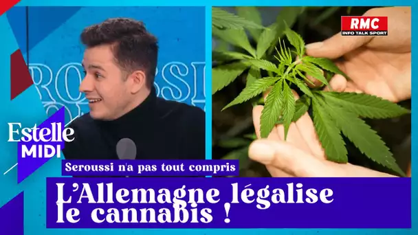 Vincent Seroussi: L’Allemagne légalise le cannabis !