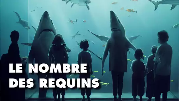 Si vous nagez avec 300 requins c'est que tout va bien ?