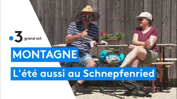 La montagne en été : les activités variées du Schnepfenried