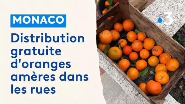 Récolte et distribution gratuite d'orange à Monaco