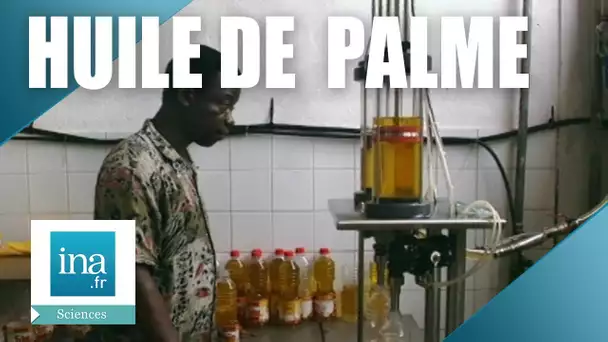 Fabrication de l'huile de palme à Iracoubo | Archive INA