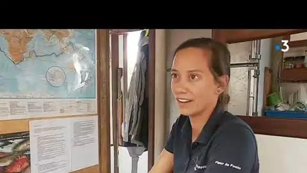 Fleur de Passion en escale à Douarnenez : une aventure scientifique