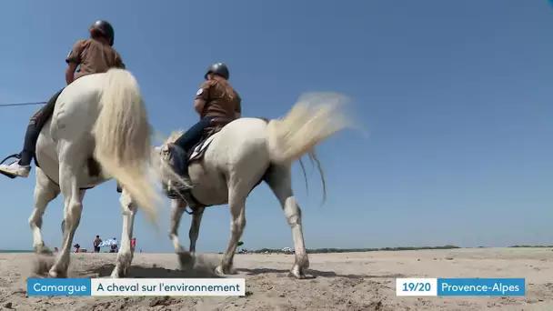 Camargue : des écogardes à cheval pour sensibiliser à la protection de l'environnement
