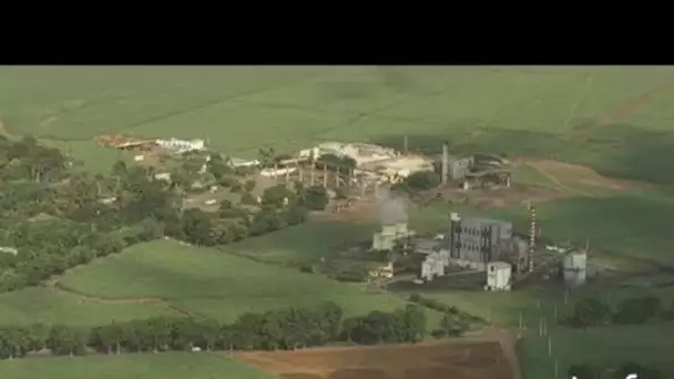 Ile Maurice : usine d'éthanol aux environs de Rose Belle