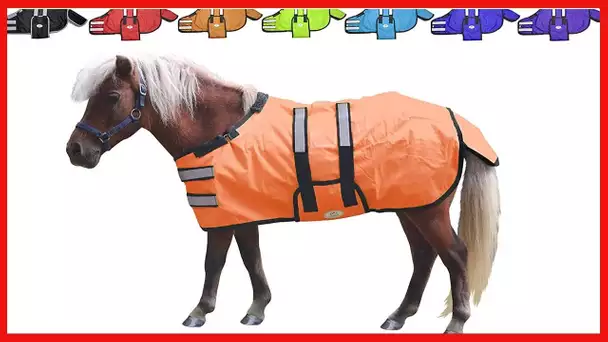 Derby Originals 600D Ripstop Waterproof Reflective Safety Winter Foal and Mini Horse Turnout Blanket