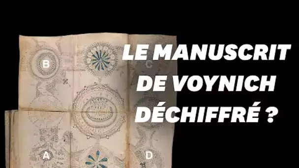Le mystère du manuscrit de Voynich a enfin été élucidé