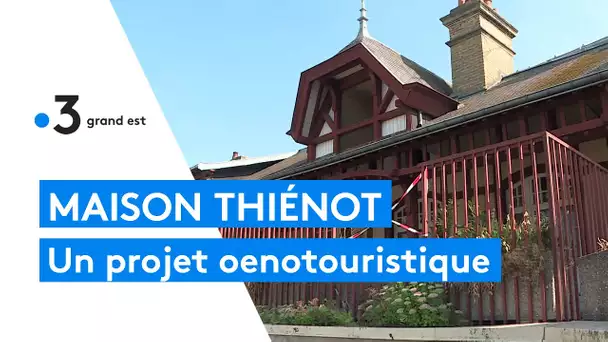 Champagne Thiénot : un projet oenotouristique