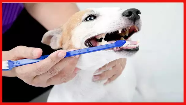 Duke's Pet Products Two-Piece Dog Toothbrush Set: Double Sided Canine Dental Hygiene Brushes