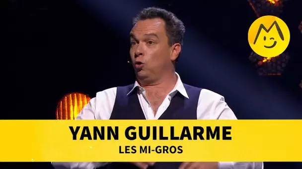 Yann Guillarme - Les Mi-gros
