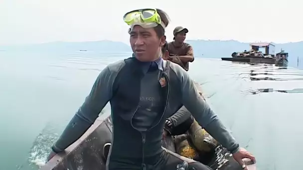 Les pêcheurs de bois : la caste oubliée du Laos