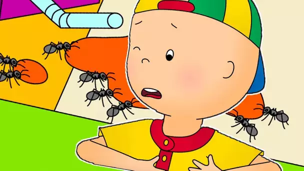 Caillou en Français | Caillou et les Fourmis | dessin animé | dessin animé pour bébé | NOUVEAU