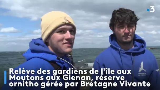 Relève des gardiens de l'île aux Moutons aux Glenan, réserve ornitho gérée par Bretagne Vivante