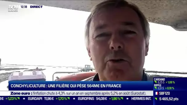 Philippe Le Gal : La conchyliculture pèse 564 millions d'euros