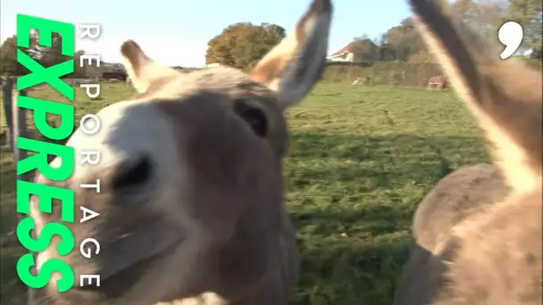 Quand les néo ruraux se plaignent de la vie à la campagne