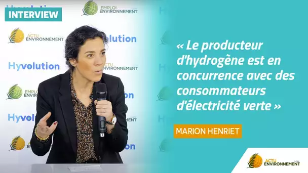 « Le producteur d'hydrogène est en concurrence avec des consommateurs d'électricité verte »