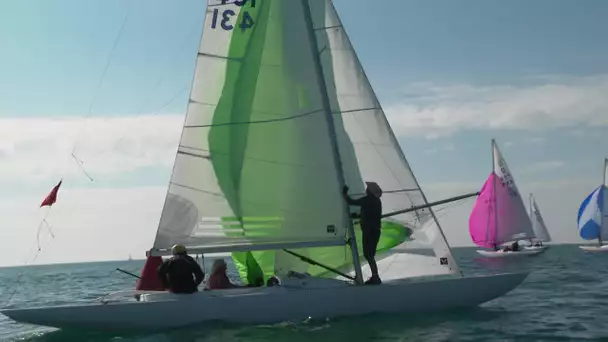 Dans l'Hérault à Port Camargue le dragon se taille la part du roi.