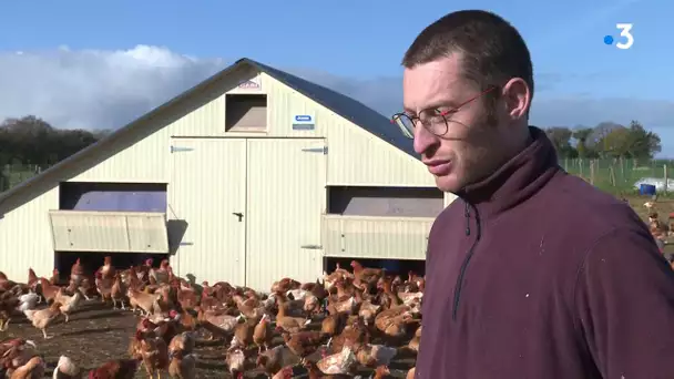 Grippe aviaire: comment les aviculteurs s'organisent-ils ?