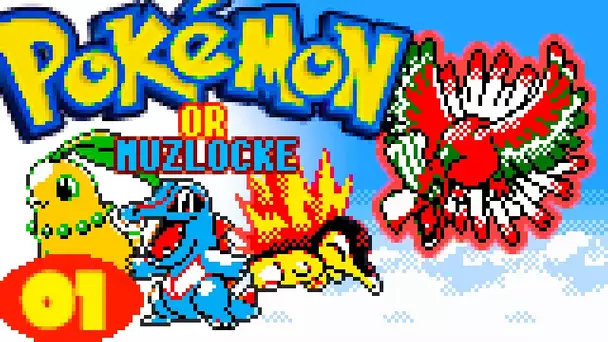 POKEMON OR - NUZLOCKE CHALLENGE !