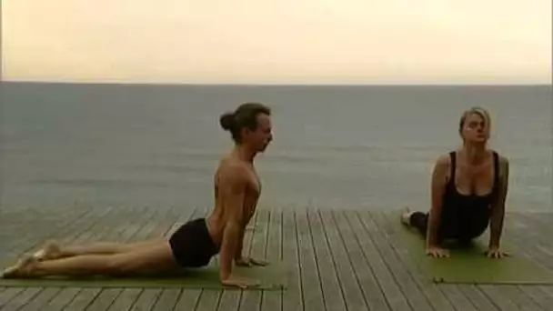 Ashtanga vinyasa yoga : 22 postures
