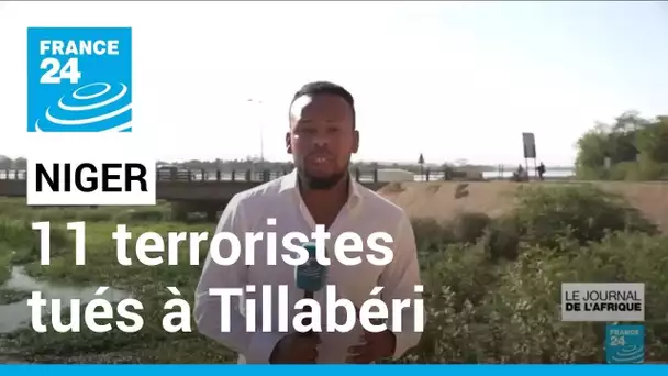 Niger : 11 terroristes tués et 6 capturés dans la région de Tillabéri • FRANCE 24