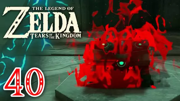 Zelda Tears of the Kingdom #40 | Le trésor des profondeurs