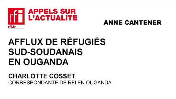 La révision constitutionnelle suspendue au Mali