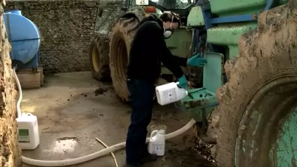 Alternatives aux pesticides en agriculture : pas si simple de passer à l&#039;acte !