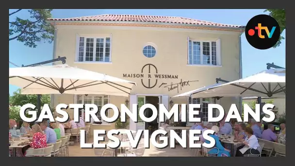 Série oenotourisme (1/4) : la gastronomie au milieu des vignes