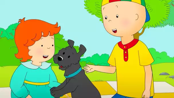 Caillou et le Chiot | Caillou en Français