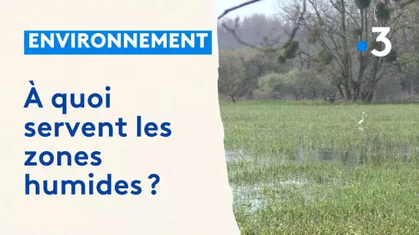 Les zones humides, des espaces naturels essentiels à la biodiversité et à la ressource en eau