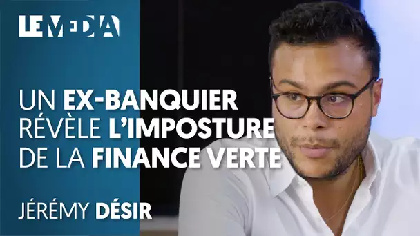 UN EX-BANQUIER RÉVÈLE L'IMPOSTURE DE LA FINANCE VERTE