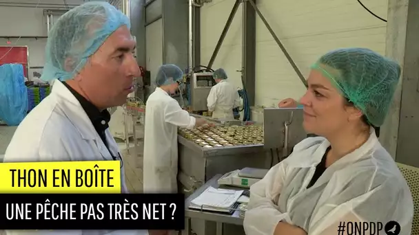 Le thon en conserve : une pêche équitable est-elle possible ?