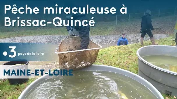 Brissac en Maine-et-Loire : les pêcheurs repeuplent les rivières dont la qualité de l'eau se dégrade