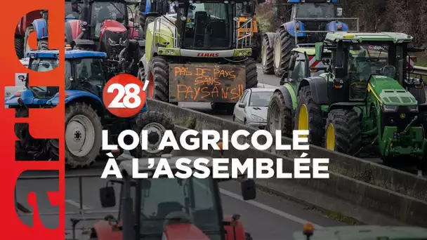 La loi agricole arrive à l’Assemblée : la victoire du modèle industriel ? - 28 Minutes - ARTE