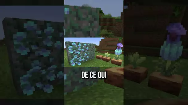 Cet Employé de Mojang a été viré...