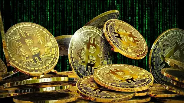 L'incroyable histoire des 7500 bitcoins jetés à la poubelle