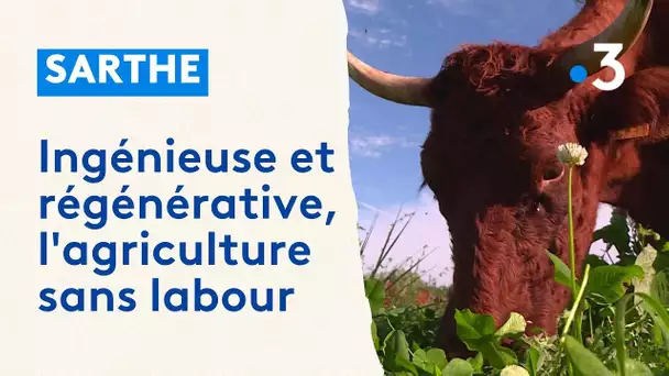 Sarthe : ingénieuse et régénérative, l'agriculture sans labour