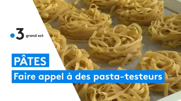 De jeunes exploitants marnais font appel à des pasta-testeurs