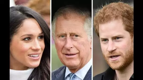 réponse en six mots de Harry expliquant pourquoi lui et Meghan n'abandonneront pas les titres